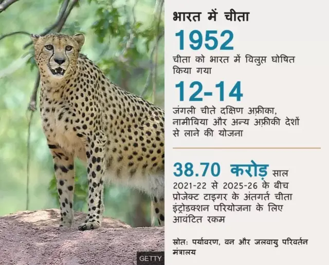 बीबीसी हिंदी