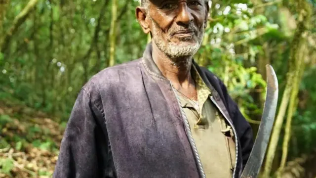 رجل يرعى أشجار البن في كافانا