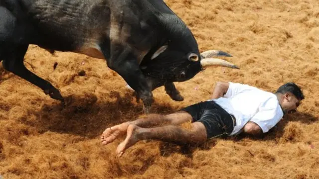 जल्लीकट्टू