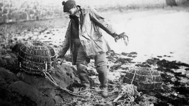 랍스터는 한때 너무 흔해서 비료나 죄수의 음식으로 쓰였다