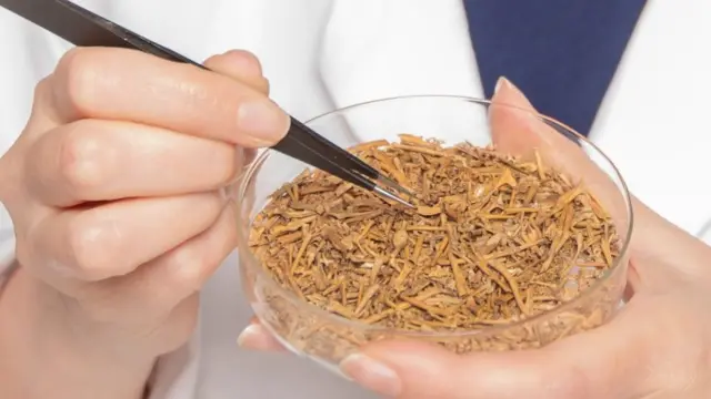 Tulang katak di cawan