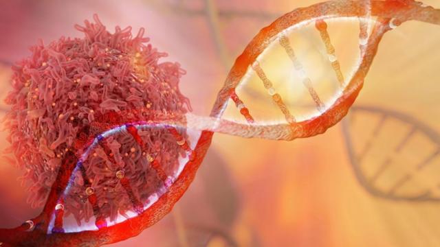 Célula cancerígena e DNA