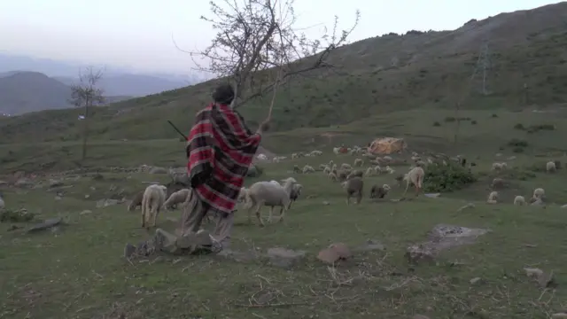 बकरवाल समुदाय