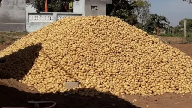 बटाटे, पेप्सिको