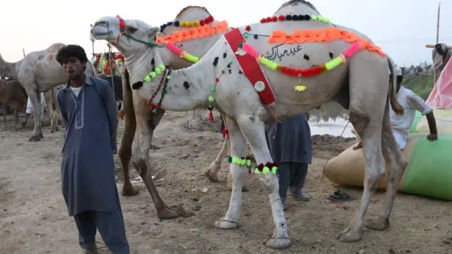 حج اور عیدِ قرباں