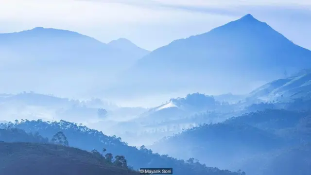 नीलकुरिंजी