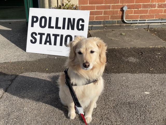 A dog sits next to a polling station sign in Caversham, Reading, Berkshire