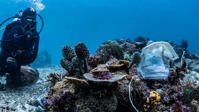 பெருங்கடல் மாசுபாடு