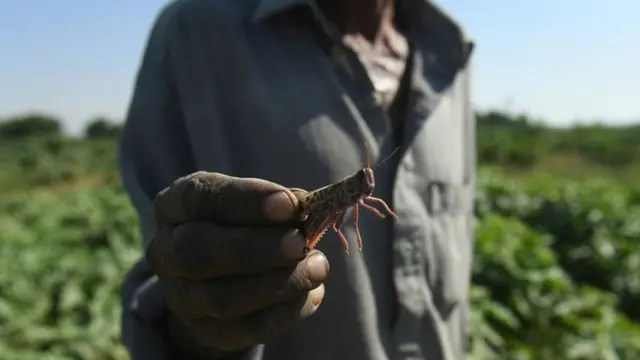 फट्याङ्ग्रा