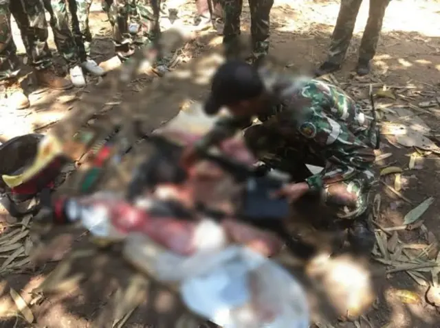 ซากสัตว์