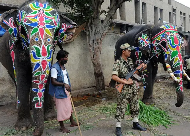 હાથીની પ્રતીકાત્મક તસવીર