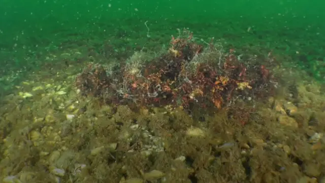 La Alarmante Contaminación Del Mar Negro El Basurero Del Sureste De Europa Y Cómo Se Puede 8678