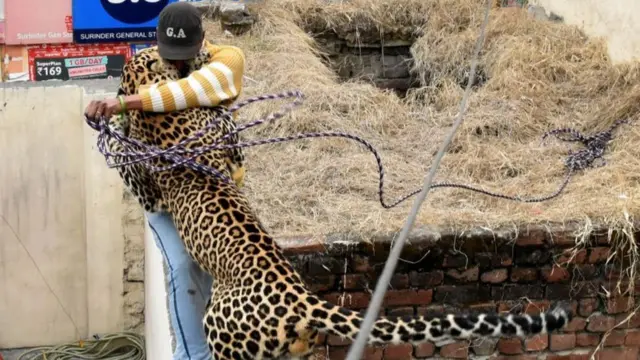 પ્રતીકાત્મક તસવીર