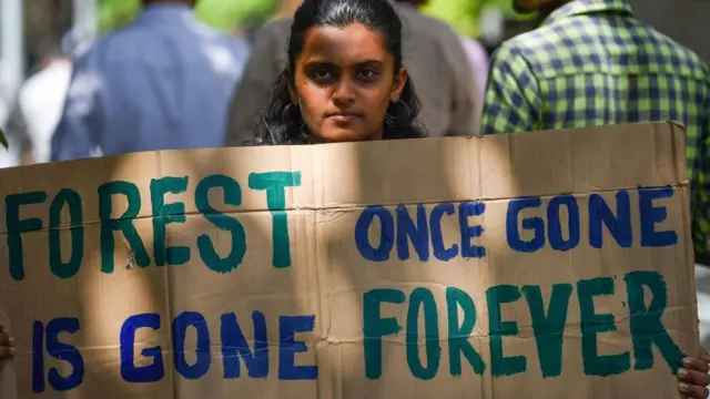 પ્રતીકાત્મક તસવીર