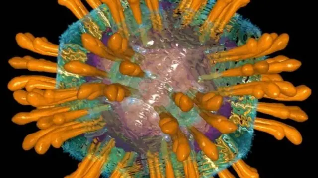 हिपॅटायटिस सी