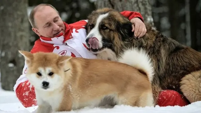 Putin akiwa na mbwa wake Buffy na Yume