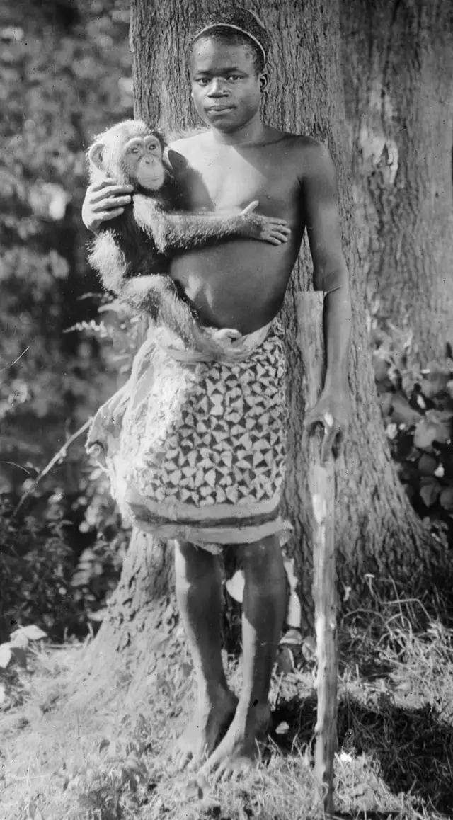 23 वर्षीय ओटा बेंगाला माकडाबरोबर पिंजऱ्यात ठेवण्यात आलं होतं. दक्षिण मध्य आफ्रिकेच्या कोंगो फ्री स्टेटमधून कासाई नदीच्या भागातून त्यांना आणण्यात आलं होतं. त्यांची उंची 150 सेंटिमीटर तर वजन 47 किलो होतं.