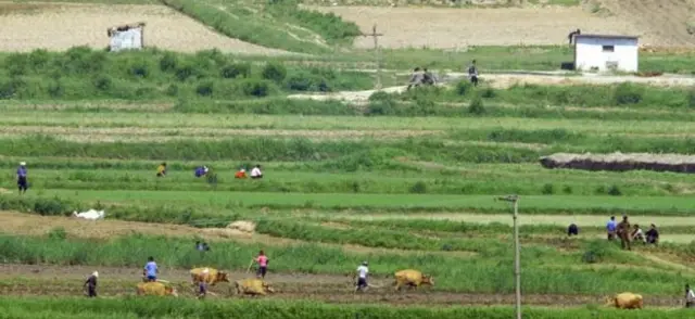 Bắc Hàn, Mỹ, nhân quyền