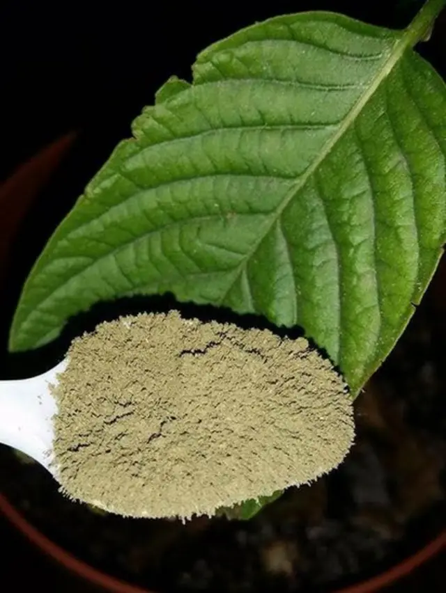 Folhabwin trustpilotKratom