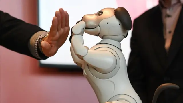 日本索尼机器狗跟人嬉戏