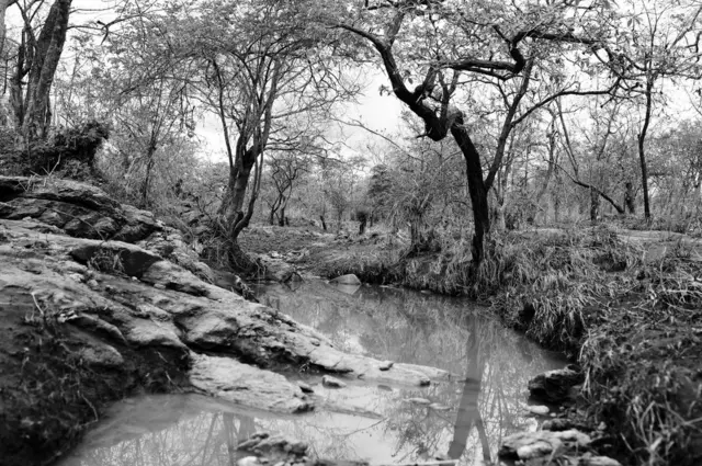 The Rio Nanjana with its stagnant water