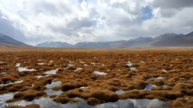 طبیعت افغانستان