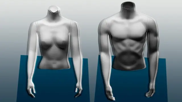 Les hommes ont tendance à avoir un pourcentage de masse musculaire plus élevé que les femmes en raison de leurs hormones.