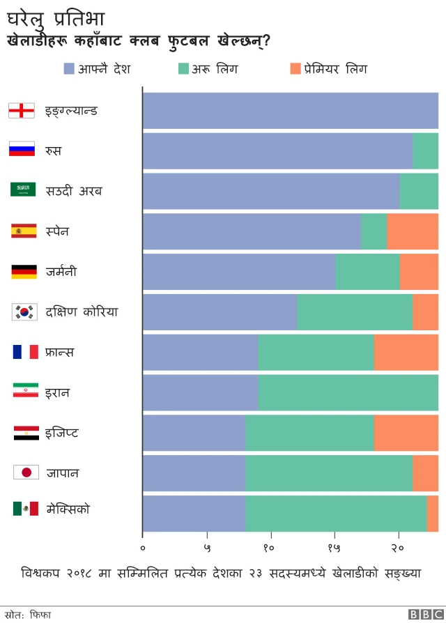 घरेलु प्रतिभा
