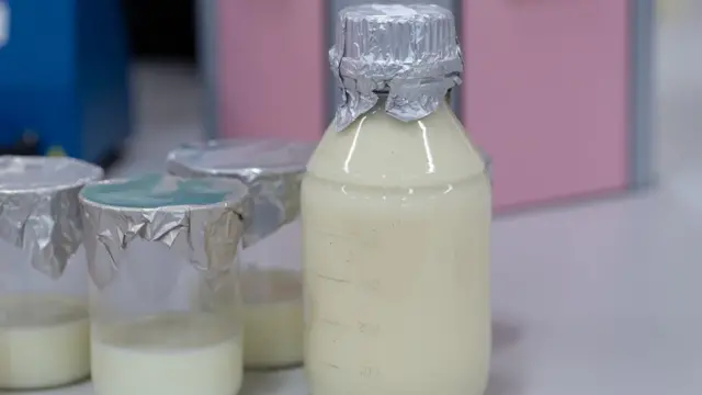 ਪ੍ਰਯੋਗਸ਼ਾਲਾ ਵਿੱਚ ਰੱਖਿਆ ਦੁੱਧ