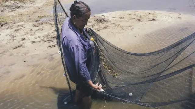 Imagen tomada en Jaboatão dos Guararapes, Pernambuco, Brazil, 2015, en una de las zonas donde la esquistosomiasis es endémica