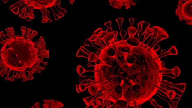 கொரோனா வைரஸ் - கோப்புப் படம்