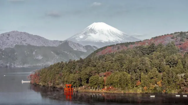 Эрика Хобарт провела немало счастливых летних дней у своей бабушки в Йокогаме