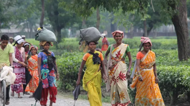 दार्जिलिंग