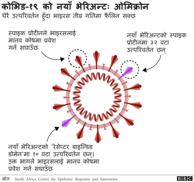 ओमिक्रोन