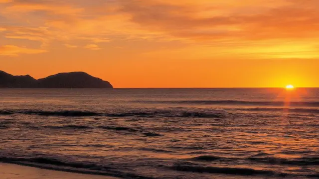 न्यूज़ीलैंड