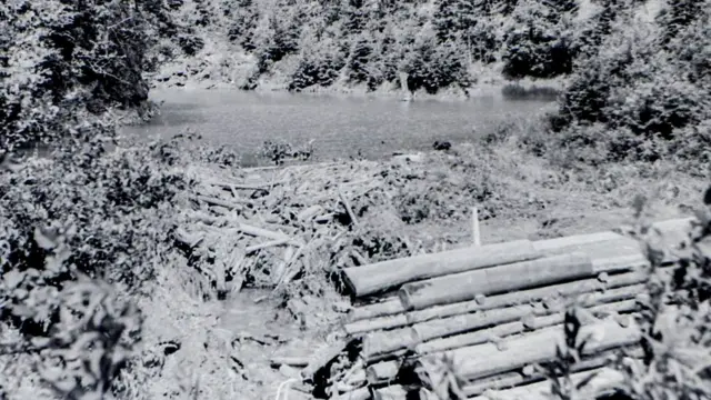 Озеро 1955 року