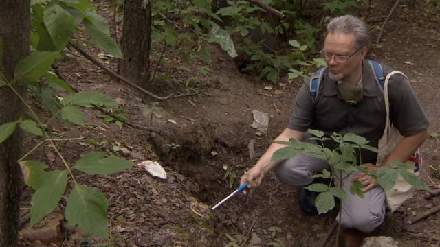 Замеры почвы