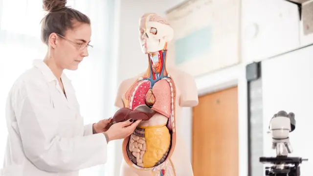 Una mujer con bata blanca y un muñeco del cuerpo humano.