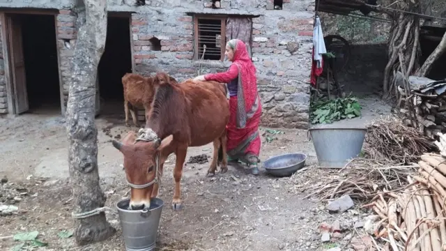 उत्तराखंड की महिलाएं