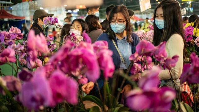 香港的花市