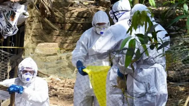 बर्ड फ्लू