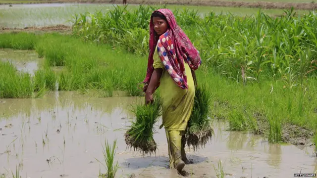 ਖੇਤ ਮਜ਼ਦੂਰ