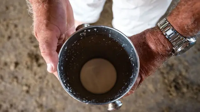 గాడిద పాలు