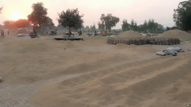 ਕਿਸਾਨ, ਝੋਨਾ, ਮੰਡੀ