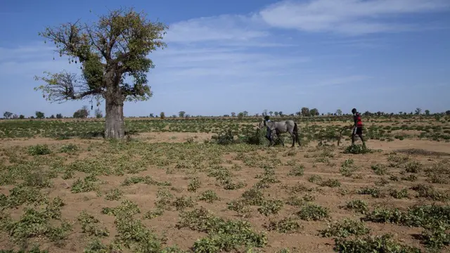 Kwararar hamada