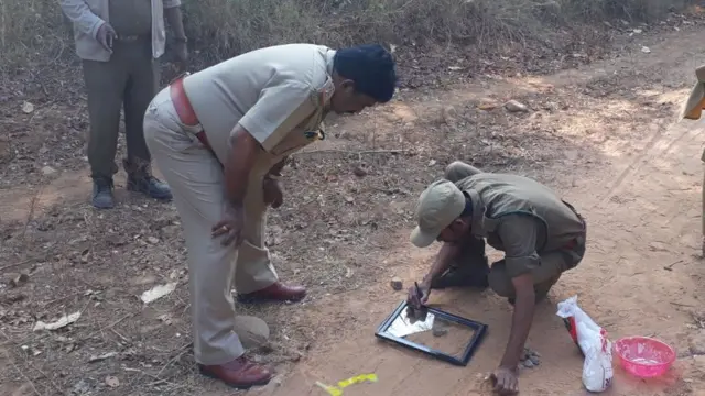 గాజు పలకపై పులి పాదముద్ర ఆకారాన్ని గీస్తున్న సిబ్బంది