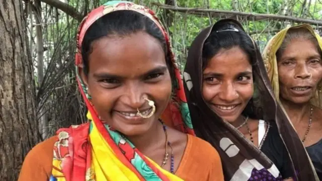 राजस्थान दामोर