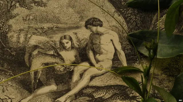 एव्हल्यूशन विरुद्ध क्रिएशन हा वाद जुना आहे.