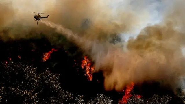 Лісова пожежа