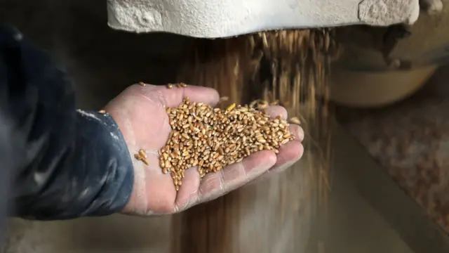 أزمة الغذاء